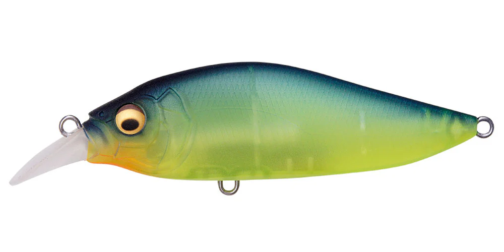 Flap Slap LBO - Image 19