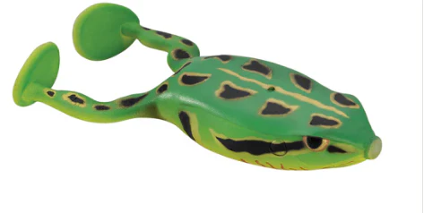 Flappin Frog - Image 10