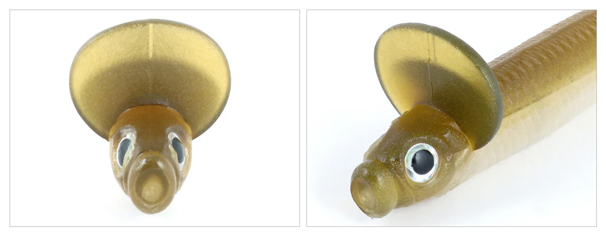 Frilled Shad - Image 3
