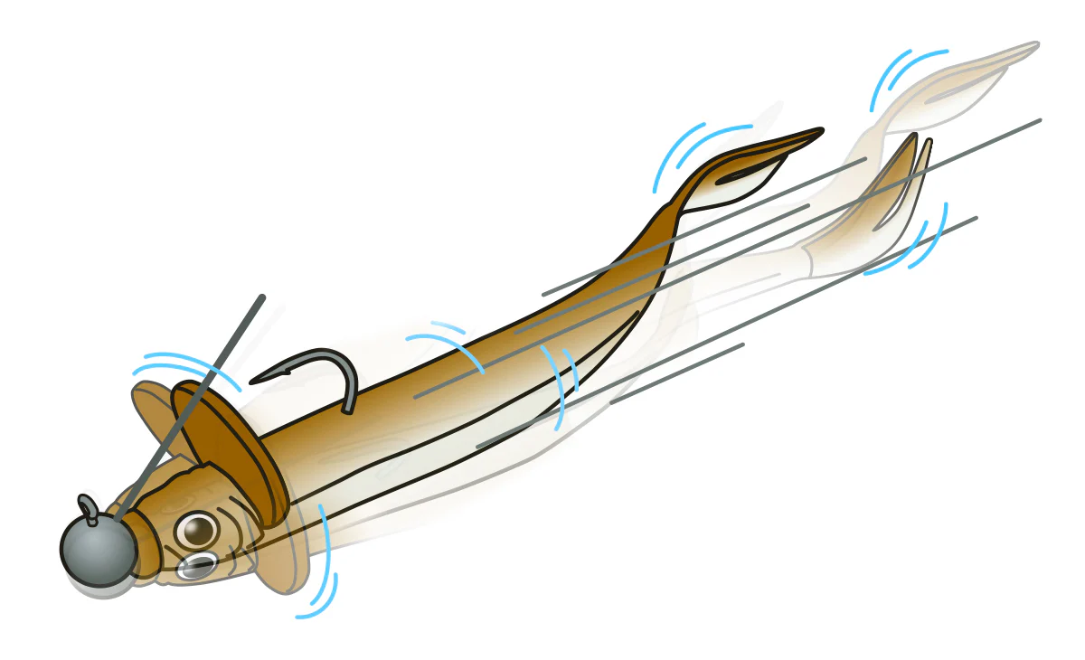 Frilled Shad - Image 4