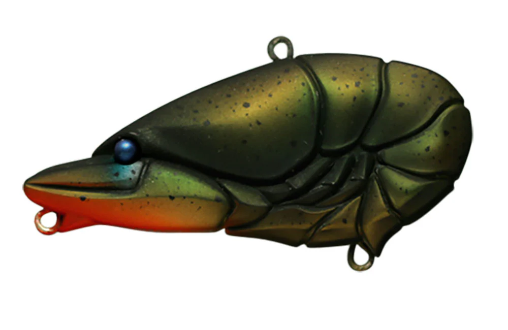 G.C Zari Vib - Image 6