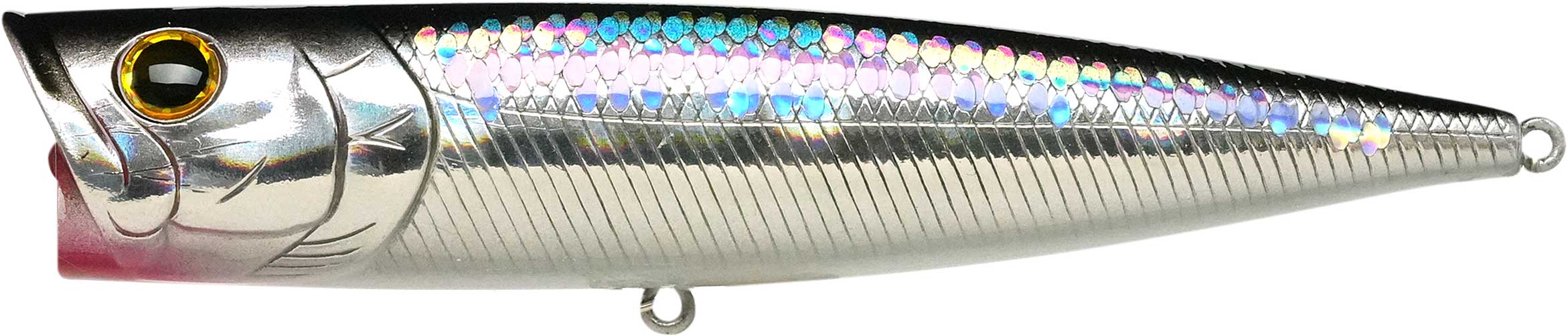 G-Splash 120 - Image 2