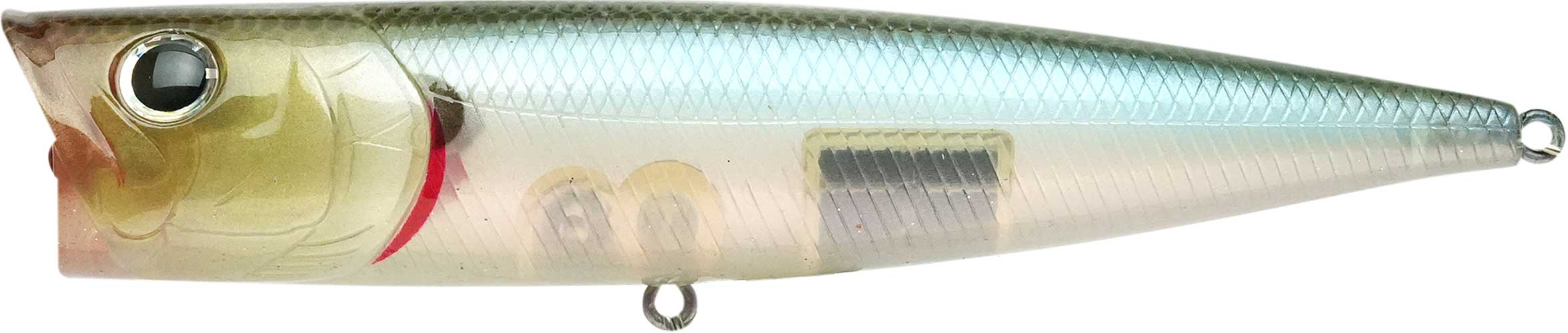 G-Splash 120 - Image 3