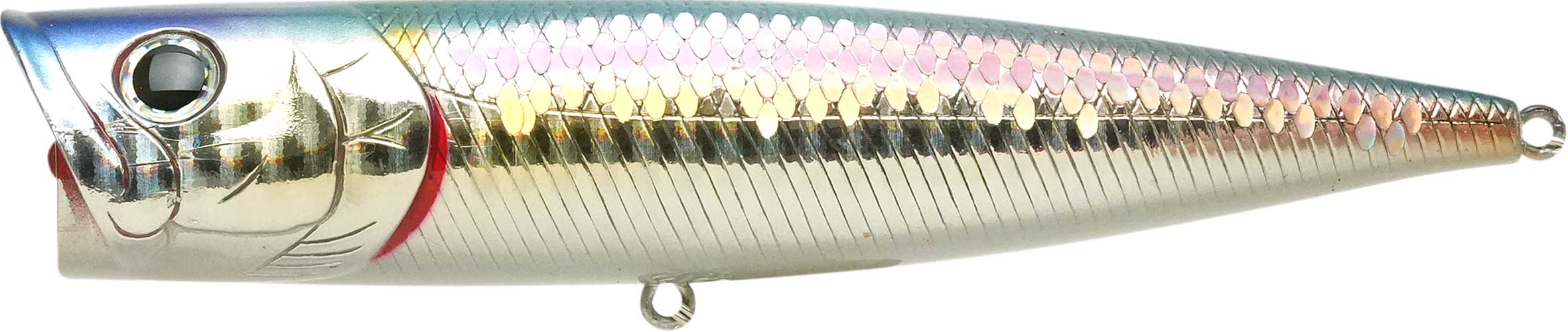 G-Splash 120 - Image 7