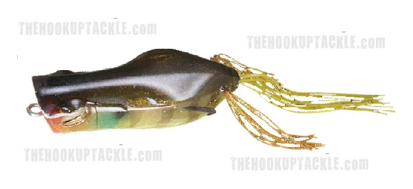 Gavacho Frog - Image 3
