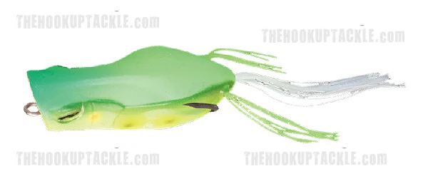 Gavacho Frog - Image 4