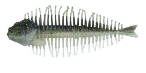 Geelacanth - Image 2