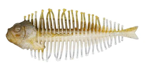Geelacanth - Image 3