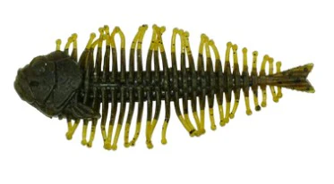 Geelacanth - Image 4