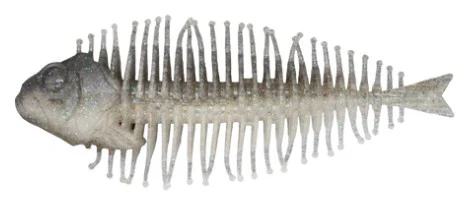Geelacanth - Image 5