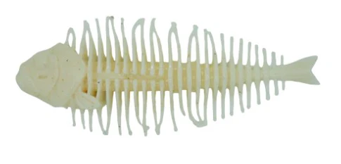 Geelacanth - Image 6