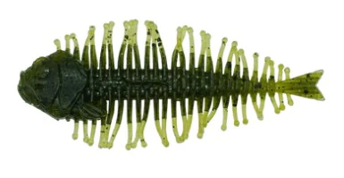 Geelacanth - Image 8