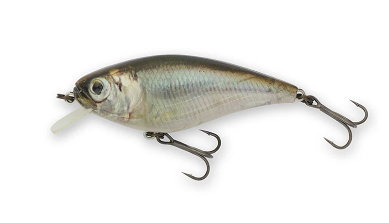 Gekiasa Shad - Image 13