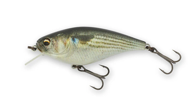 Gekiasa Shad - Image 15