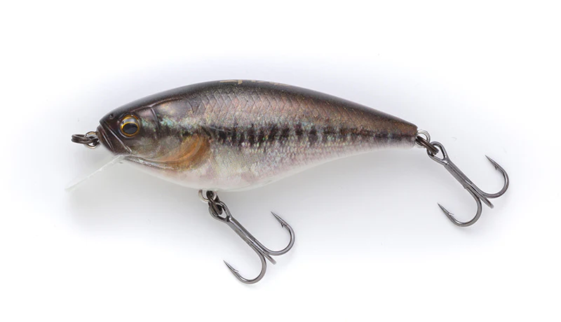 Gekiasa Shad - Image 2