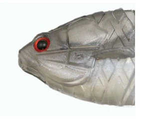 Gill Flat - Image 10