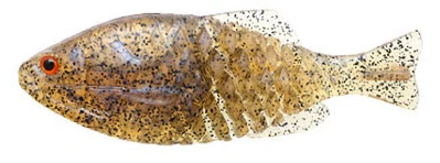 Gill Flat - Image 5