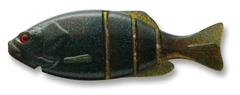 Gill Flat Swimmer - Image 3