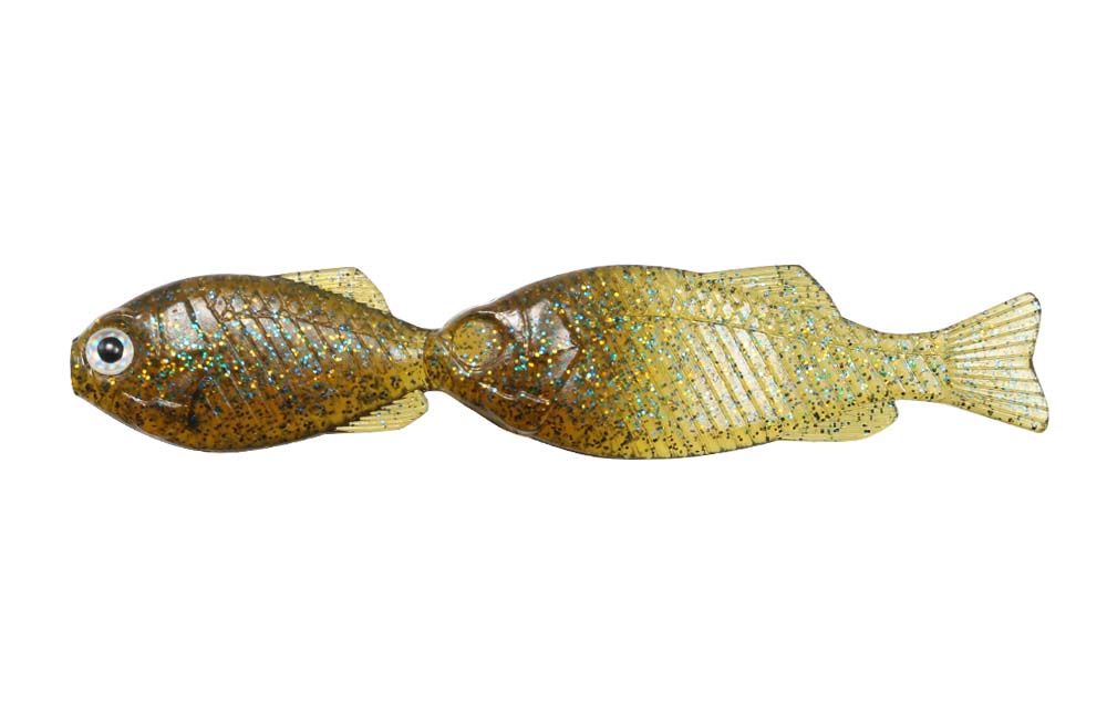 GillGill - Image 2