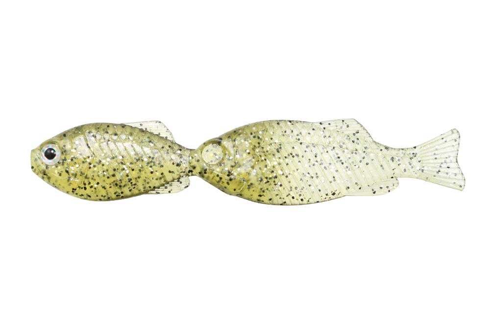 GillGill - Image 3