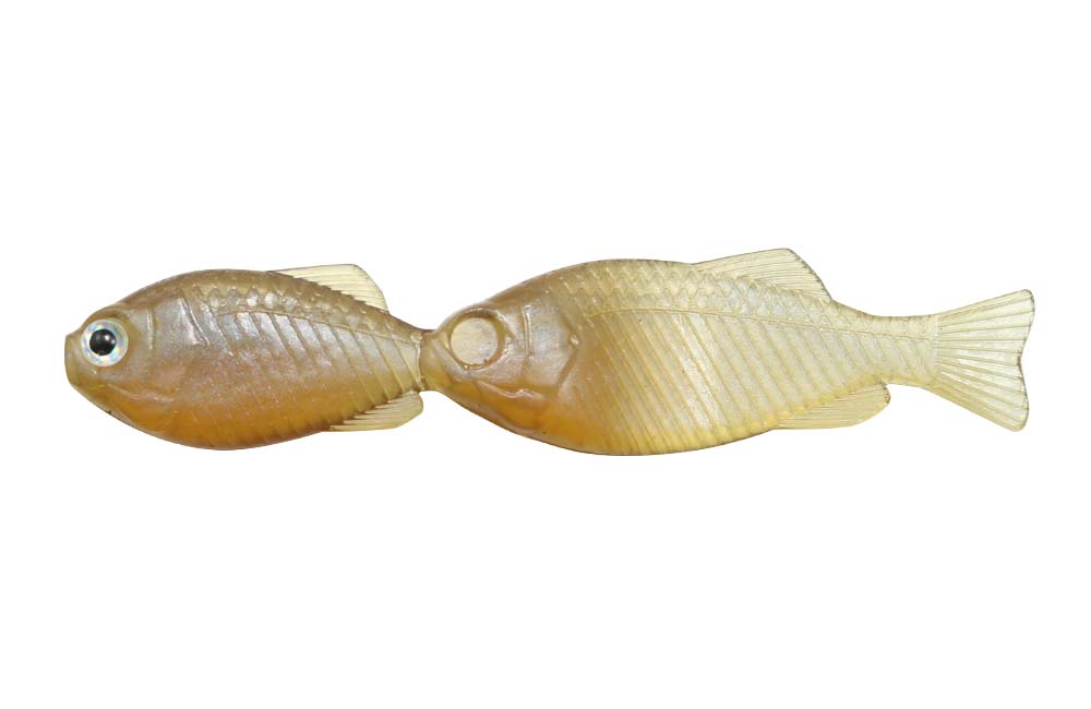 GillGill - Image 6