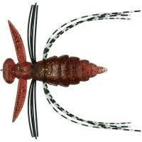 Gizmo - Image 3