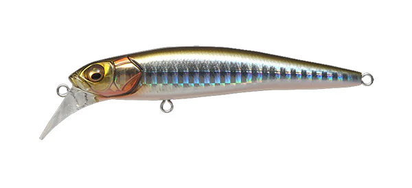 Halibut 90 - Image 5