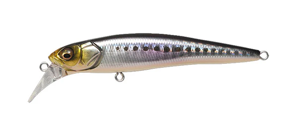 Halibut 90 - Image 6