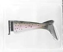 Hatch Match Paddle Tail 3.0 - Image 7