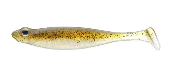 Hazedong Shad - Image 14