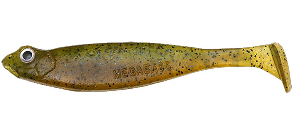 Hazedong Shad - Image 15