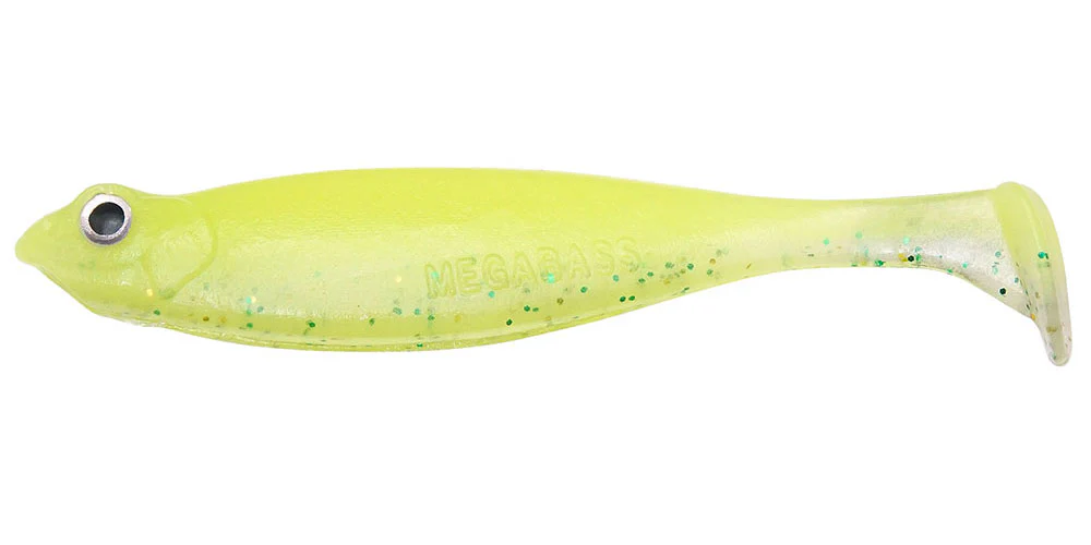Hazedong Shad - Image 2