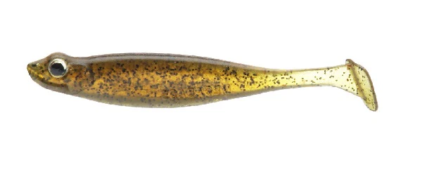 Hazedong Shad - Image 20