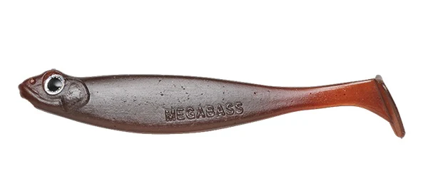 Hazedong Shad - Image 21