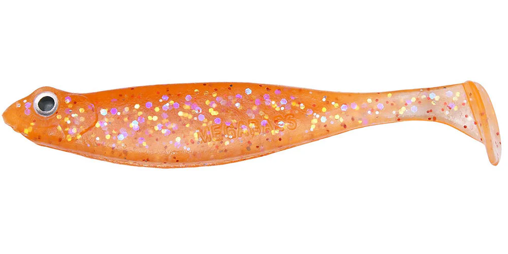 Hazedong Shad - Image 3