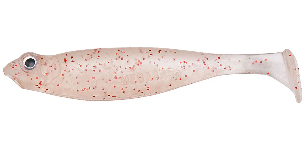 Hazedong Shad - Image 5