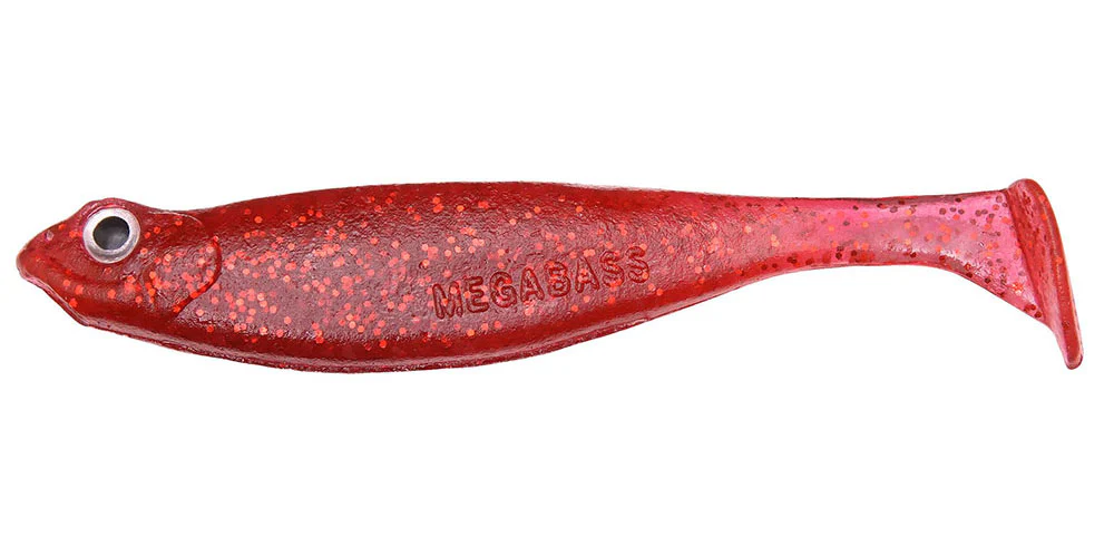 Hazedong Shad - Image 6