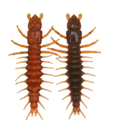 Hellgrammite - Image 18