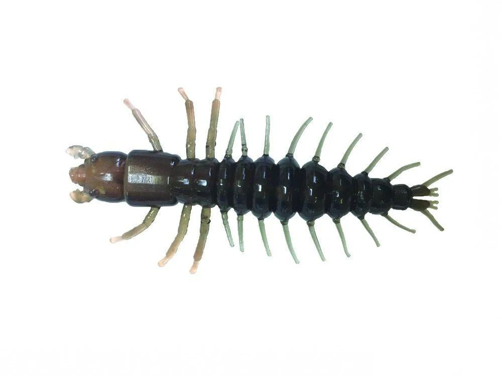 Hellgrammite - Image 7