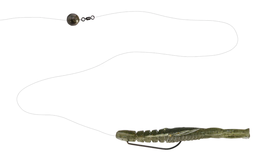 Hurry Shrimp - Image 15