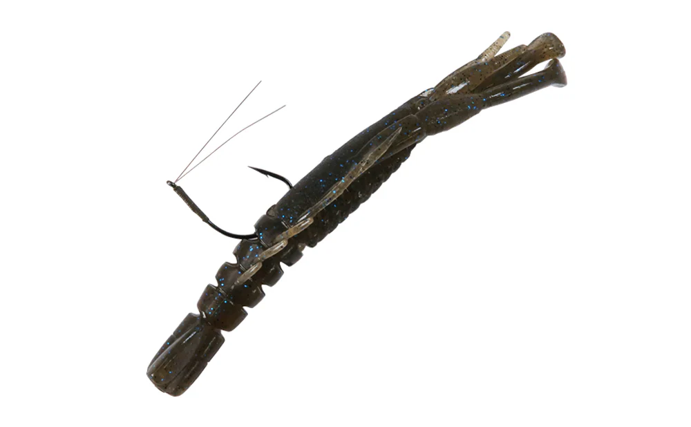 Hurry Shrimp - Image 17