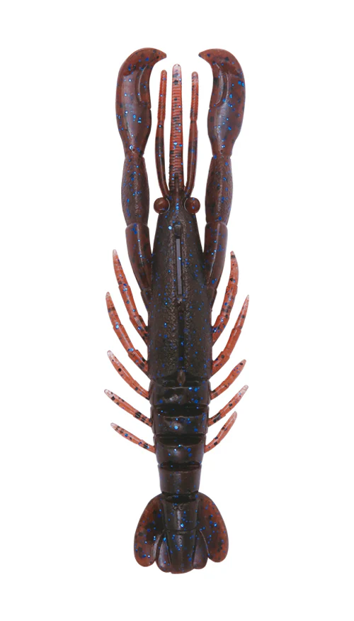 Hurry Shrimp - Image 18