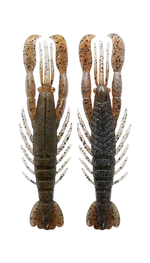 Hurry Shrimp - Image 22