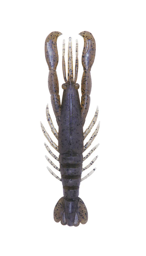 Hurry Shrimp - Image 23