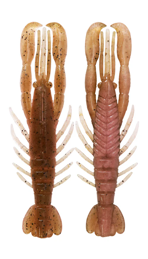 Hurry Shrimp - Image 8