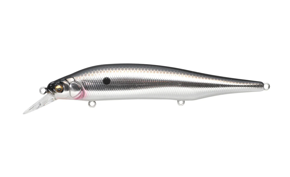 Ito Shiner - Image 10