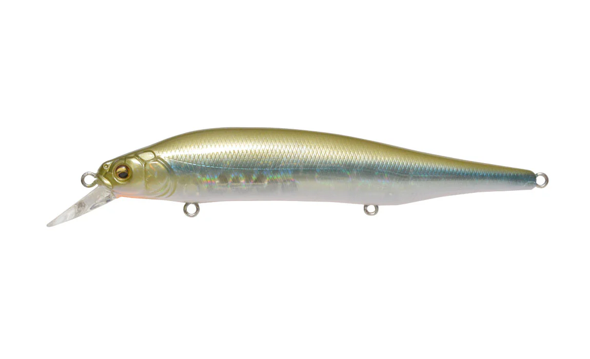 Ito Shiner - Image 11