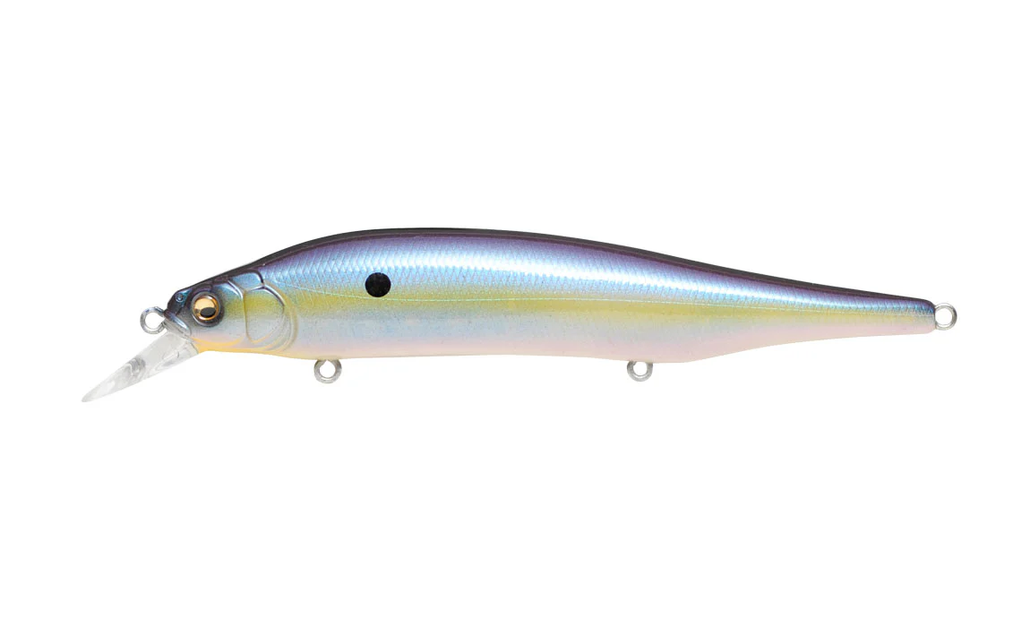 Ito Shiner - Image 13
