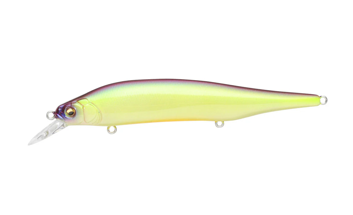 Ito Shiner - Image 14