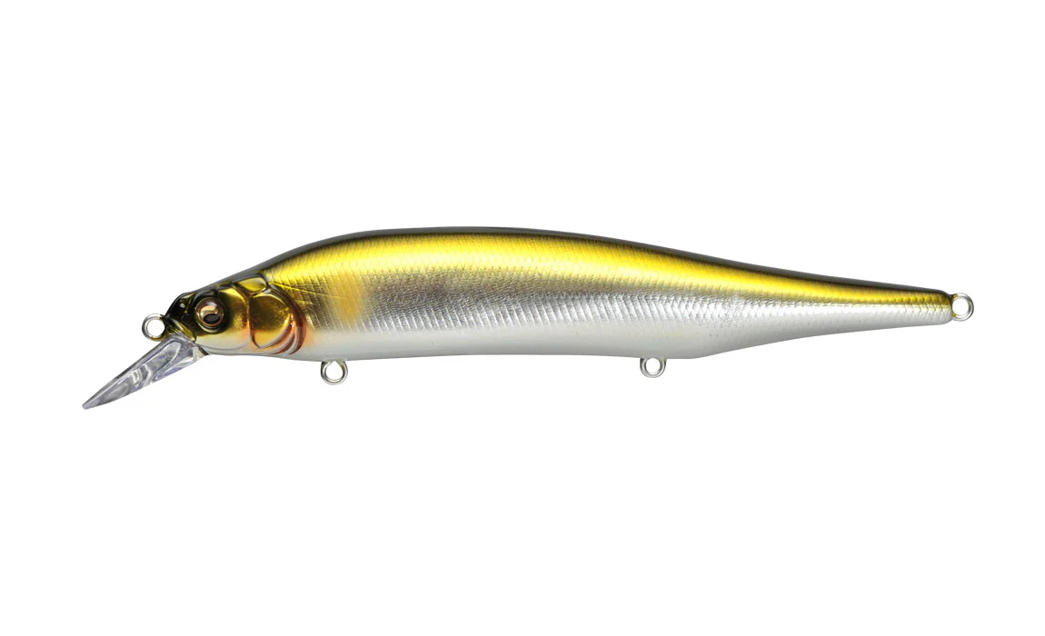 Ito Shiner - Image 15